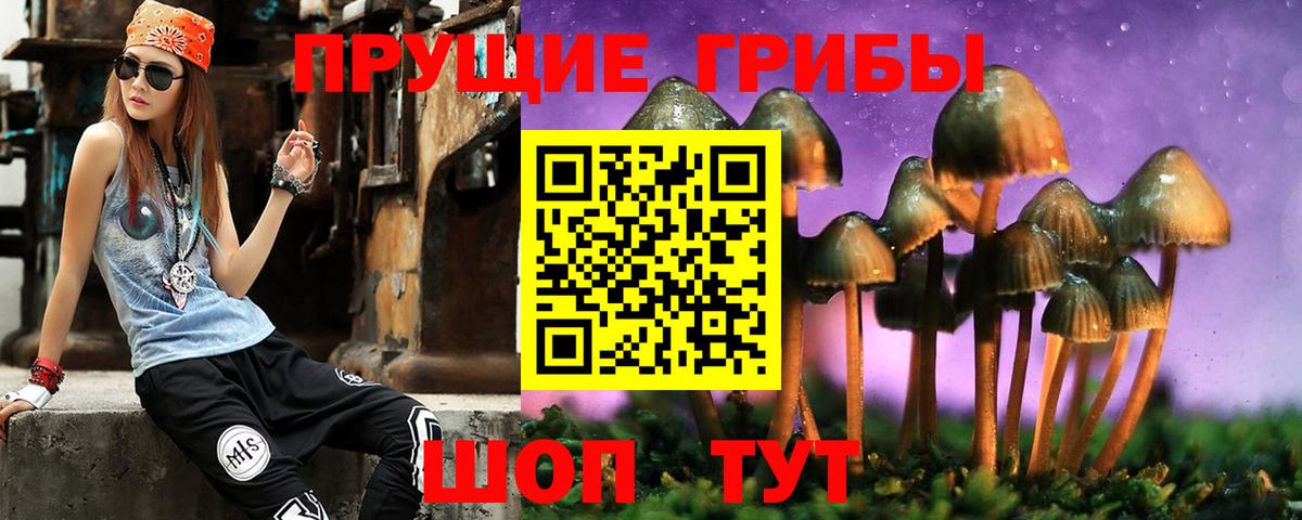 Псилоцибиновые грибы MAGIC MUSHROOMS  Вход с VPN  Псилоцибиновые грибы Psilocybine cubensis  Малоярославец 